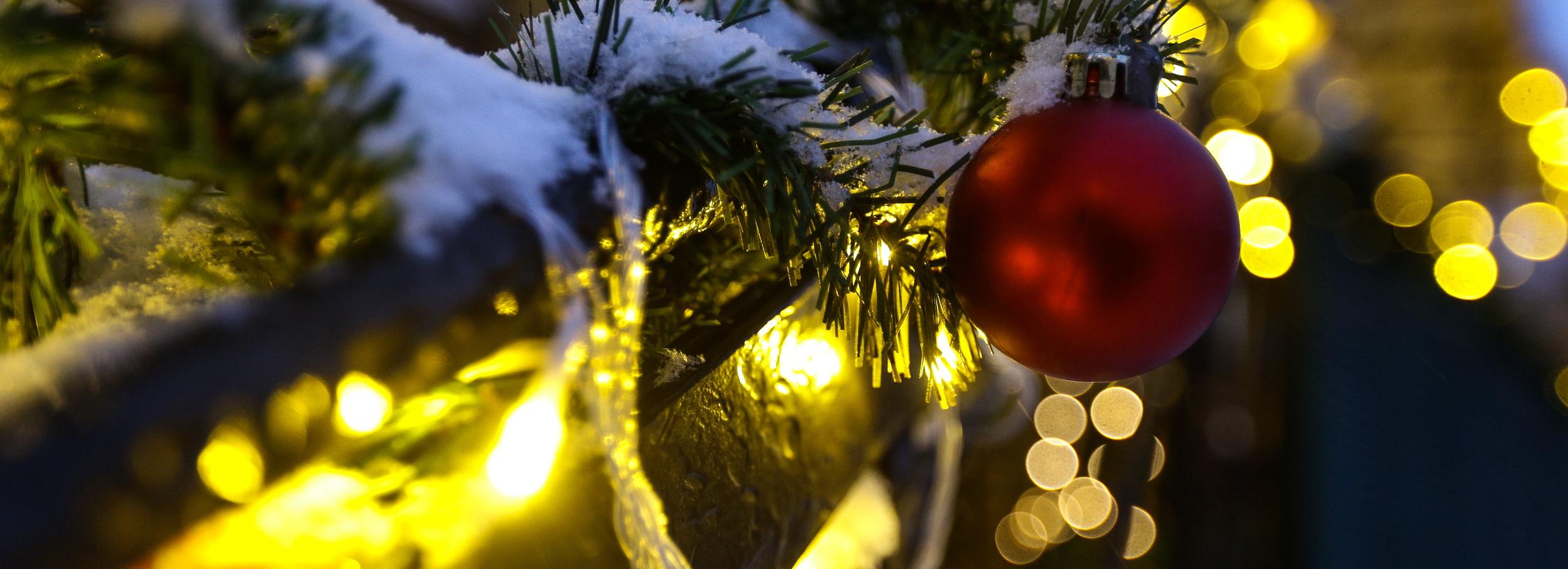 Один дома: как встречать Новый год без компании