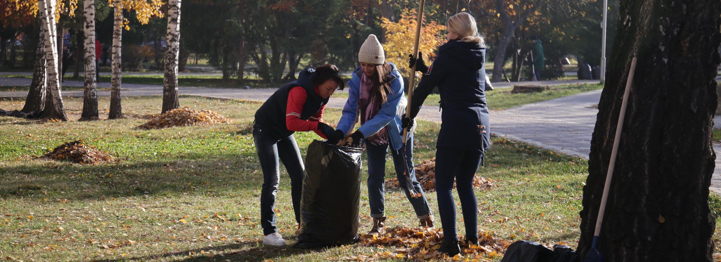 География субботника: места, куда можно сходить убрать мусор