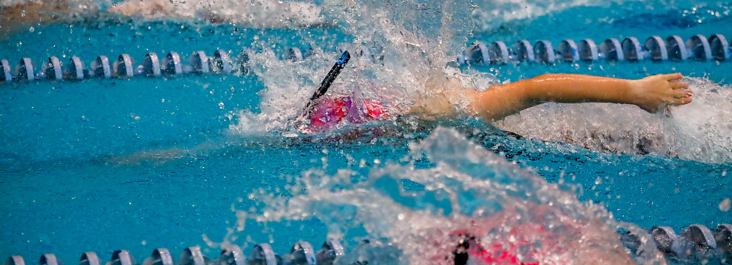 С золотом чемпионата мира новосибирских пловчих поздравил мэр Кудрявцев