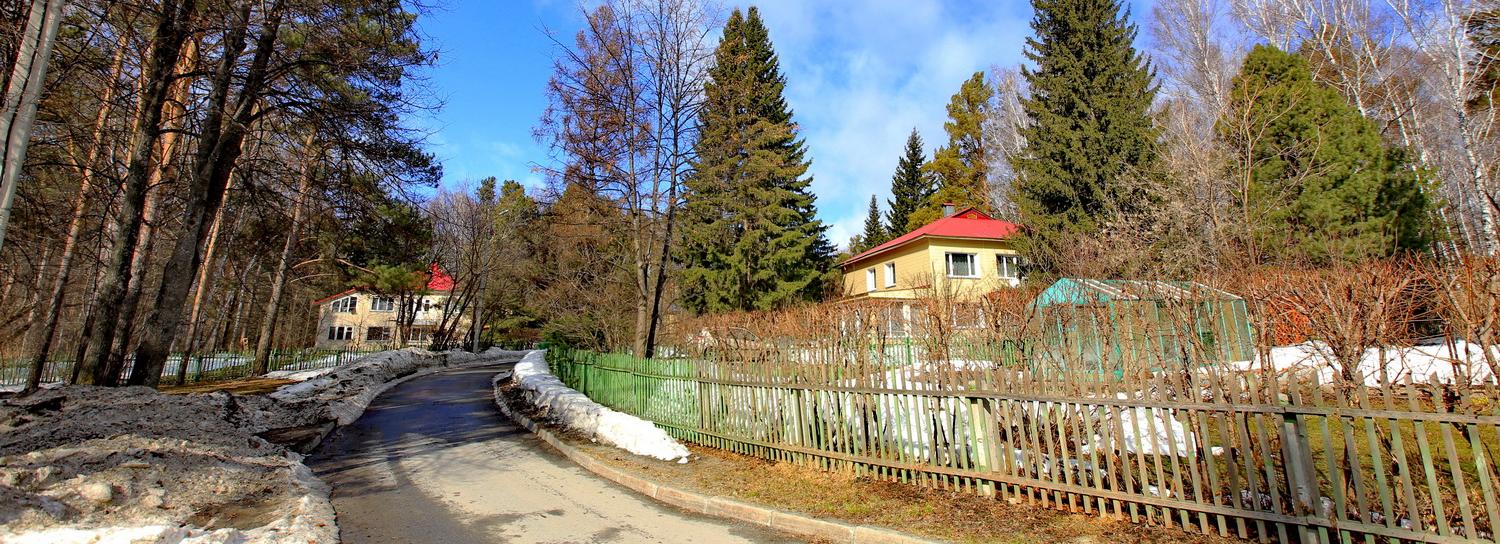 Ипотеку со ставкой 1,9% годовых могут получить новосибирцы