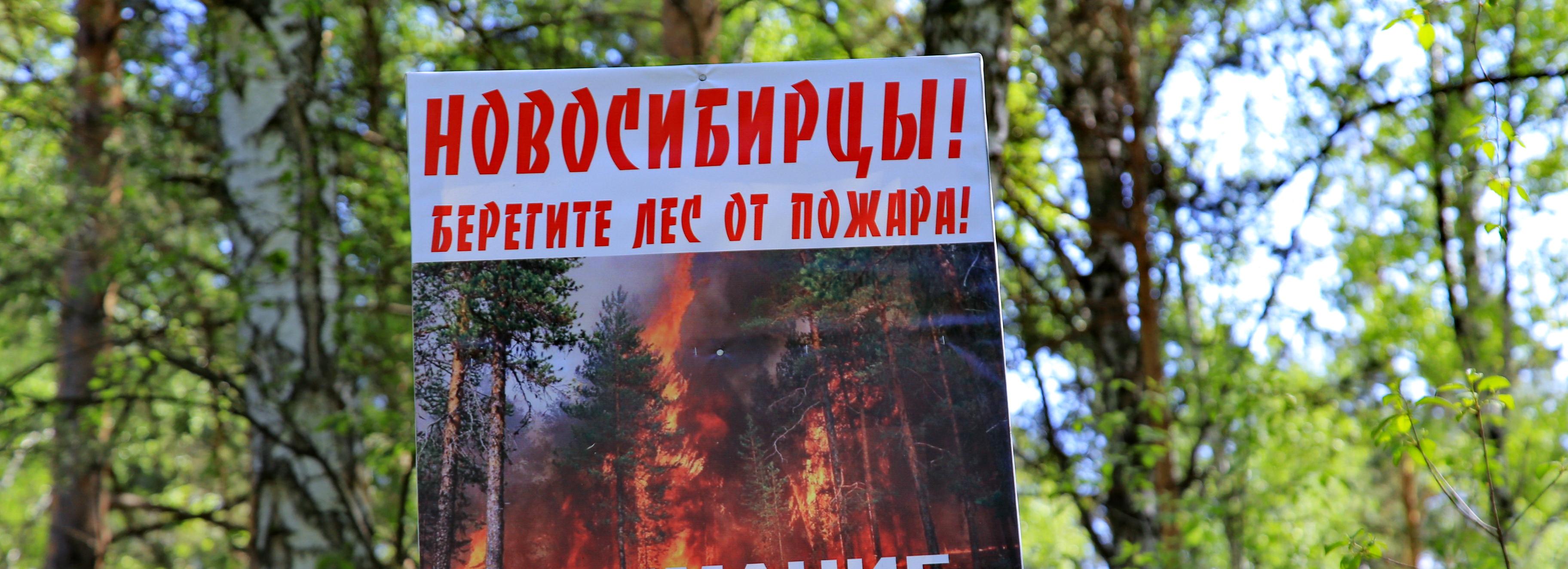 До 800 тысяч выросли штрафы за костры и палы травы в Новосибирске