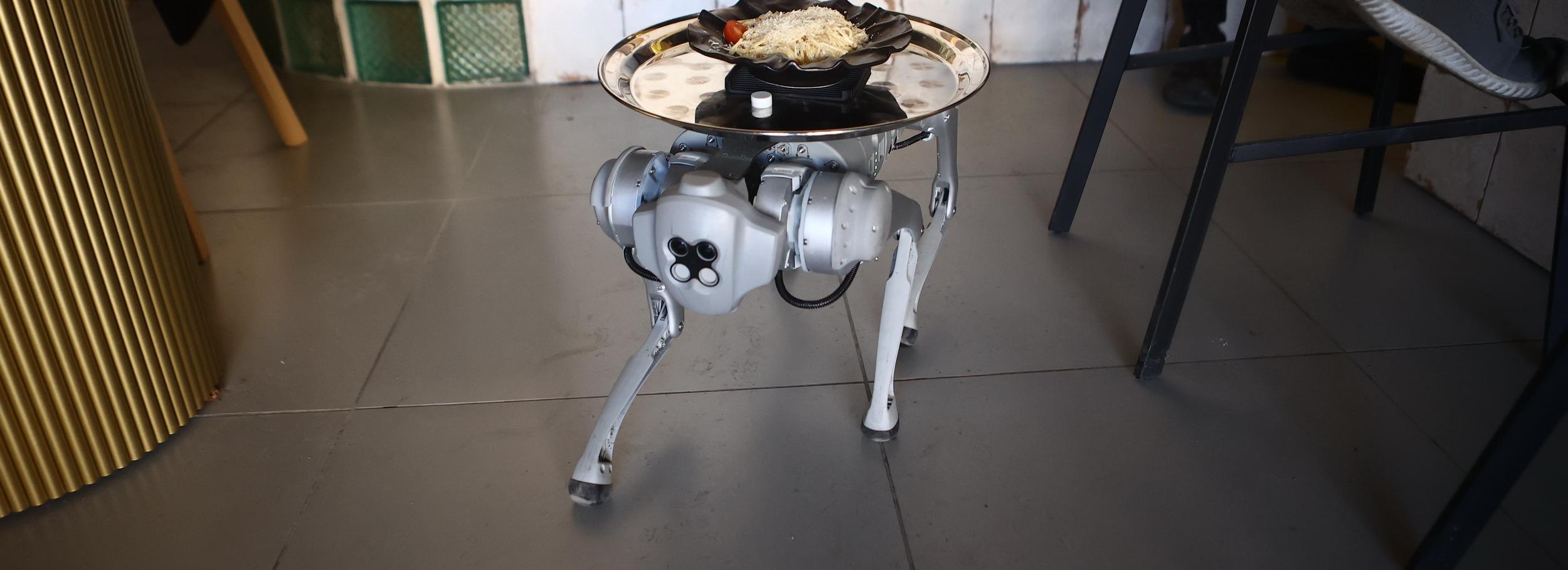 Кофейню с робособакой-официантом открыли в центре Новосибирска