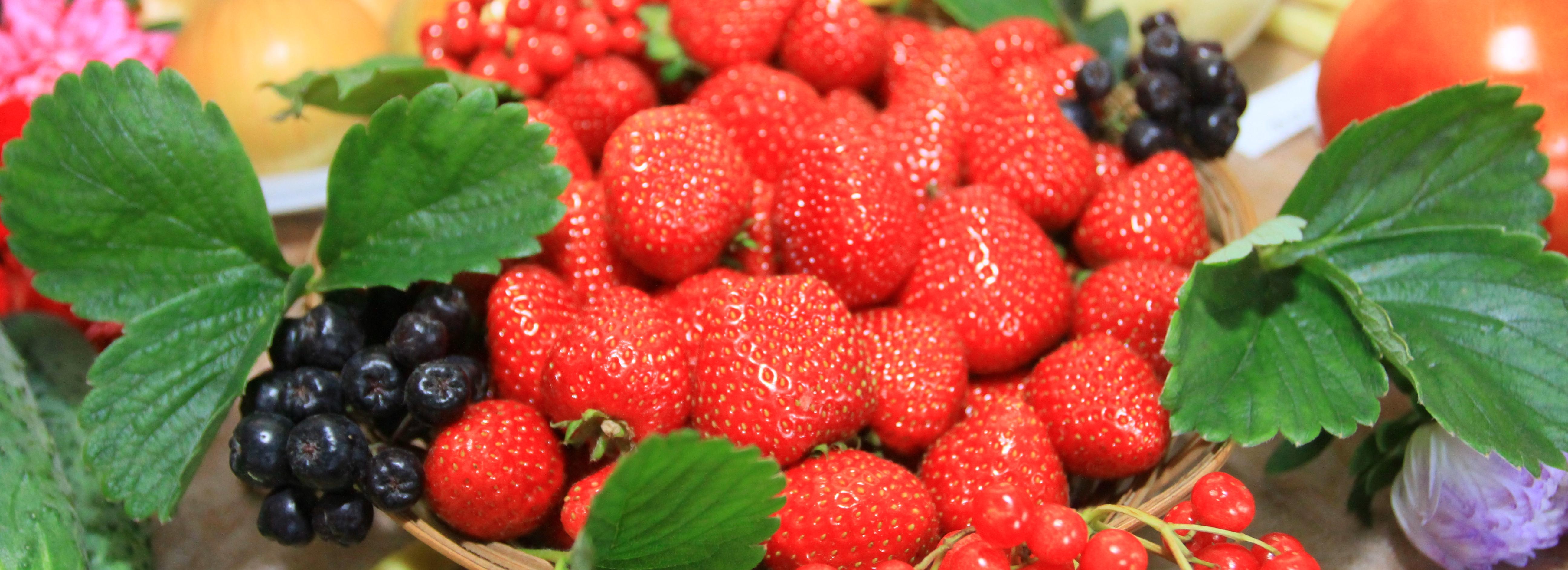 Как выбрать лучшую клубнику и черешню — советы Роспотребнадзора