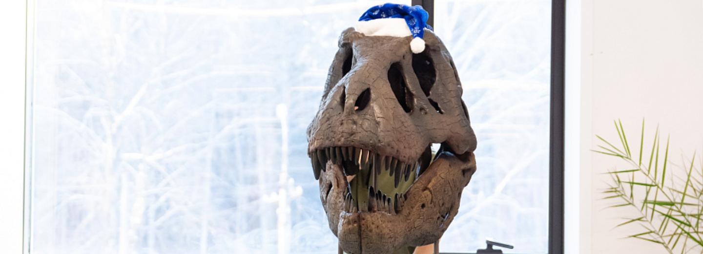 Копию черепа тираннозавра в полный размер отпечатали на 3D-принтере в НГУ