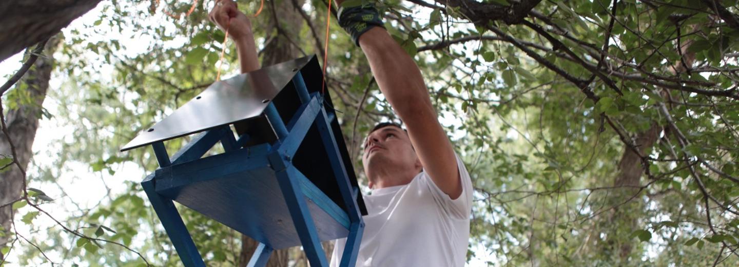 Бельчатники и домики для насекомых появились в Нарымском сквере