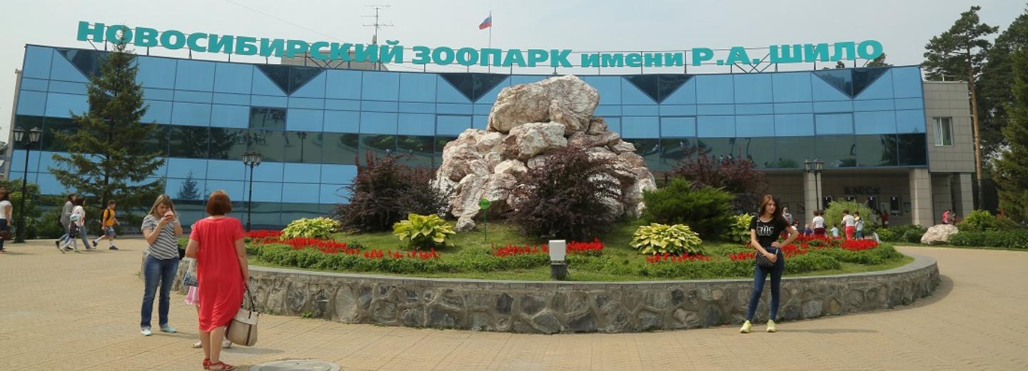 Павильон для панд и бегемотов построят в новосибирском зоопарке