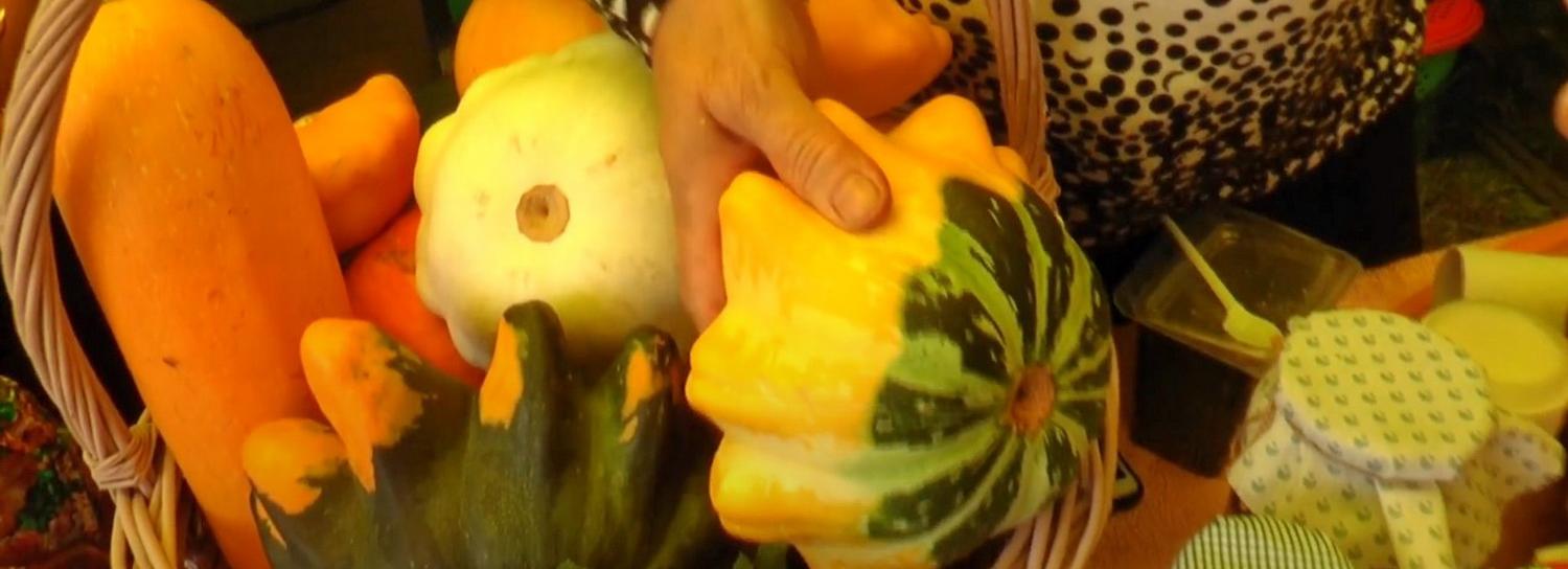 Похожими на арбуз патиссонами удивляет выставка урожая в Берёзовой роще