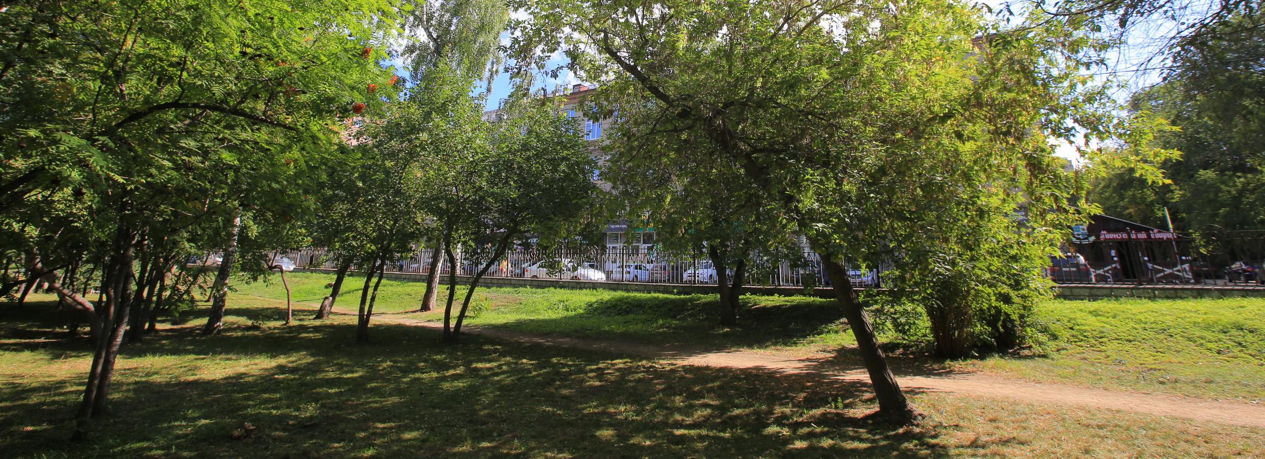 Густая живая изгородь защитит Нарымский сквер от пыли и шума улиц