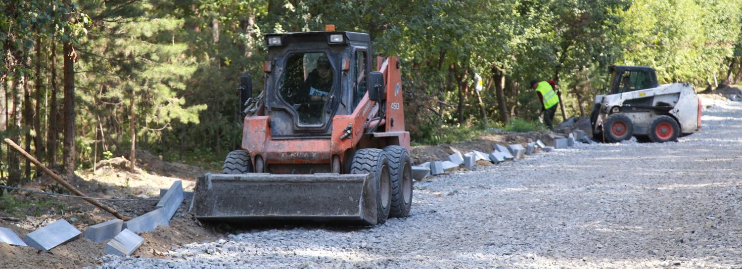 Лесная тропа появится вдоль дороги у Заельцовского парка