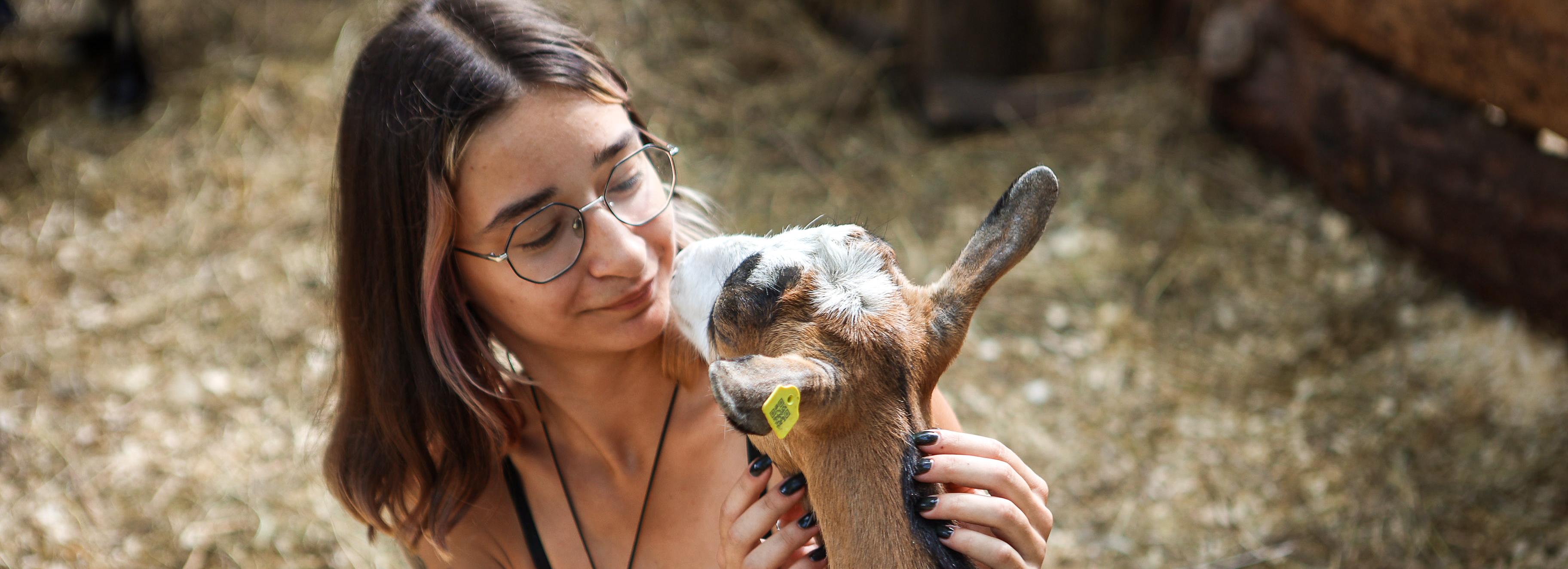 Милые пятачки и пушистые хвостики — смотрим фото обитателей пони-фермы