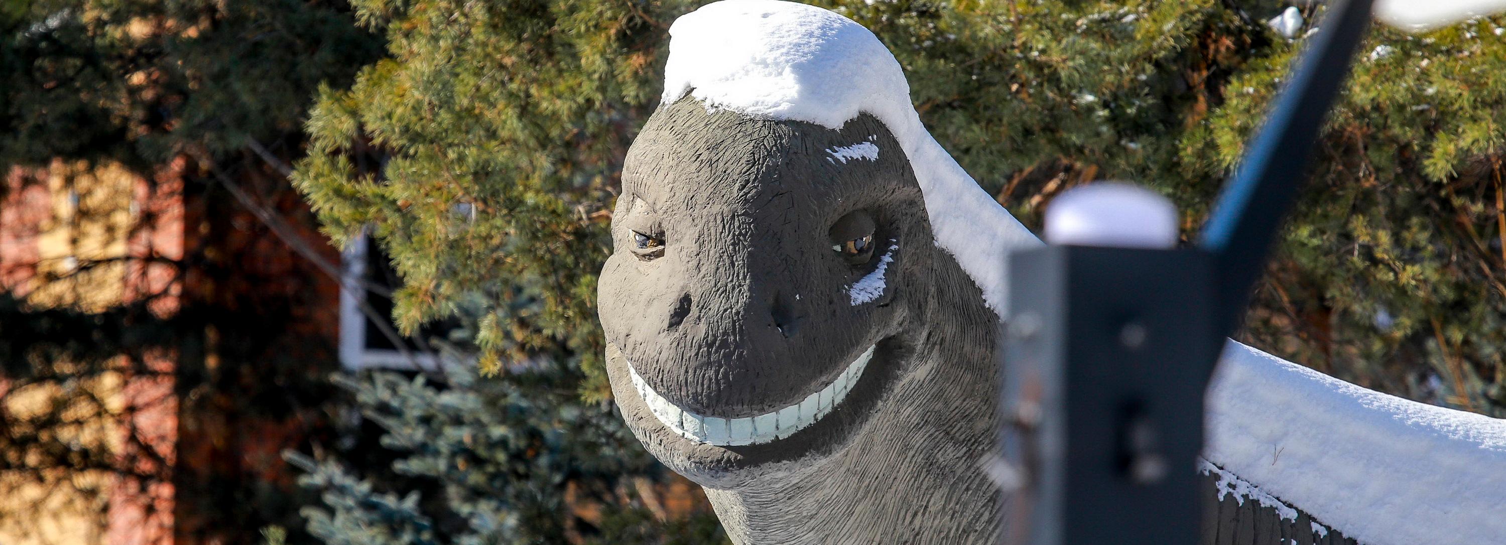 Как выборы талисмана Новосибирска обернулись протестным голосованием