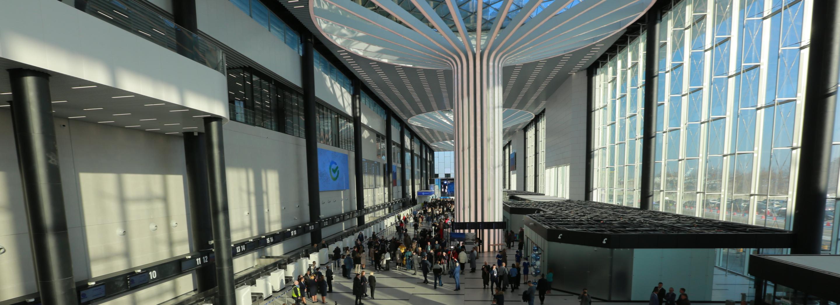 Мужчина с рогами не прошёл контроль в новосибирском аэропорту