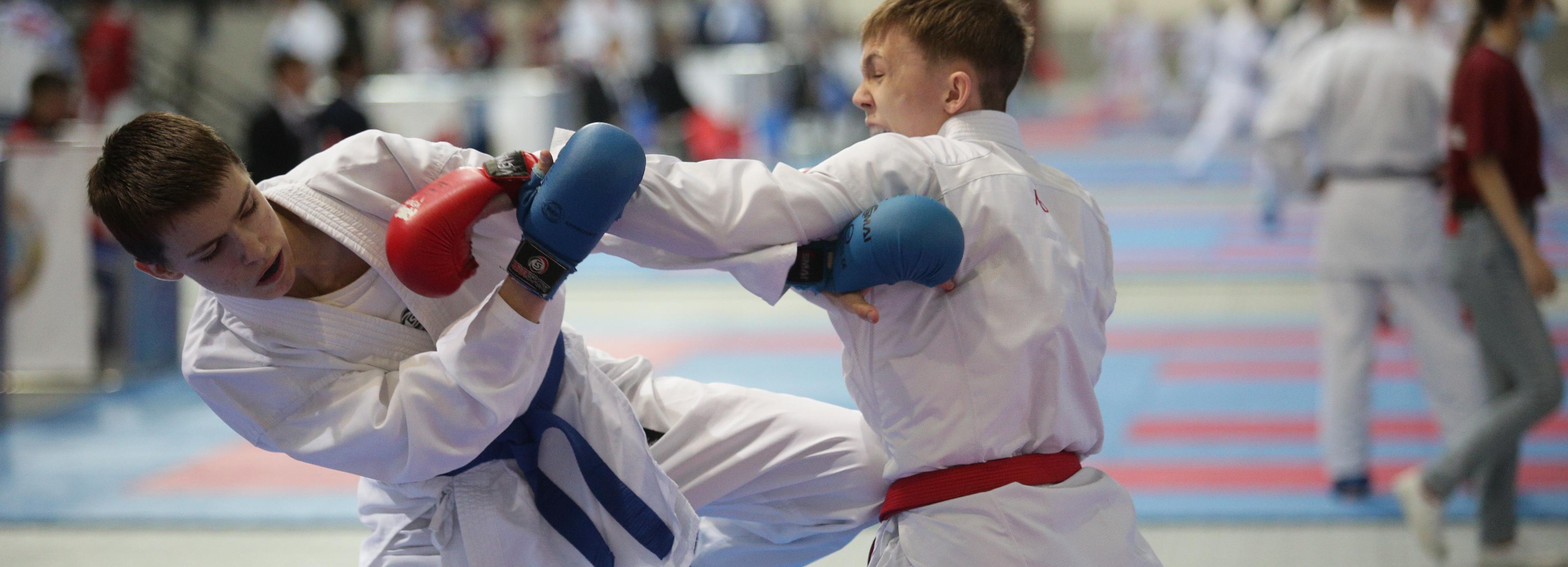 Ведущие каратисты из России, Африки и Азии съедутся на Кубок Покрышкина