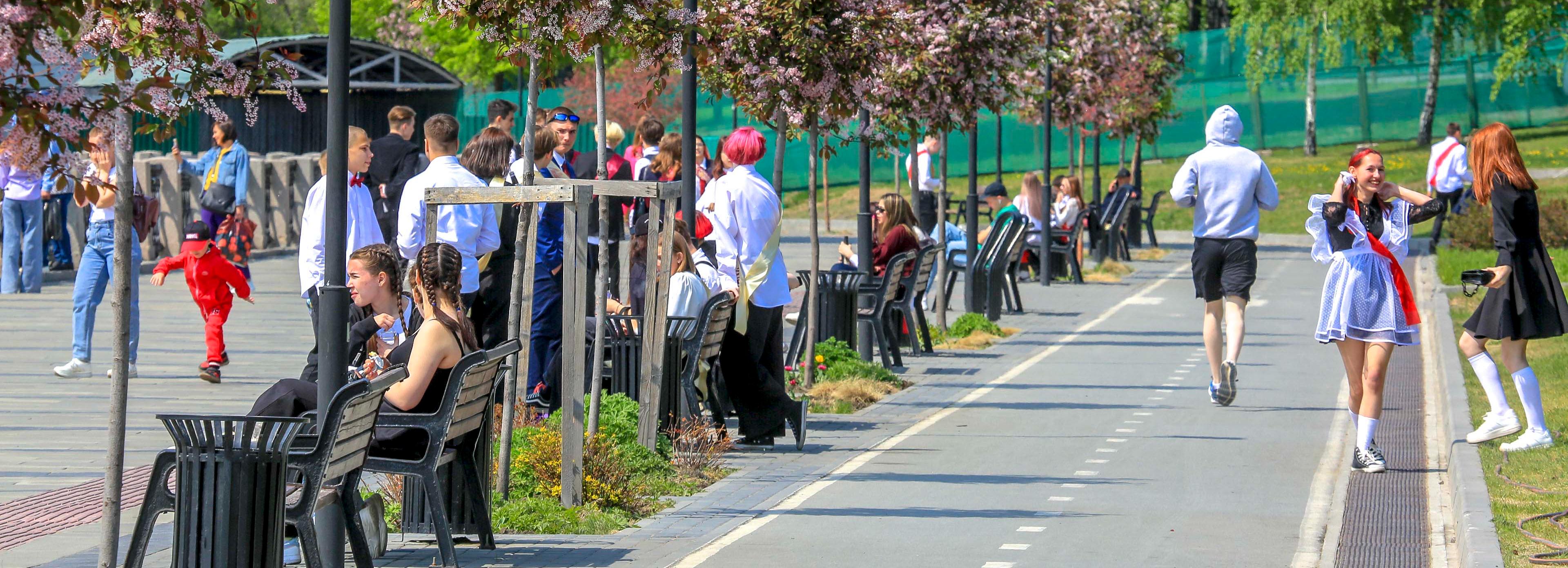Зелёный Новосибирск: на набережной скоро заколосятся пушистые мискантусы
