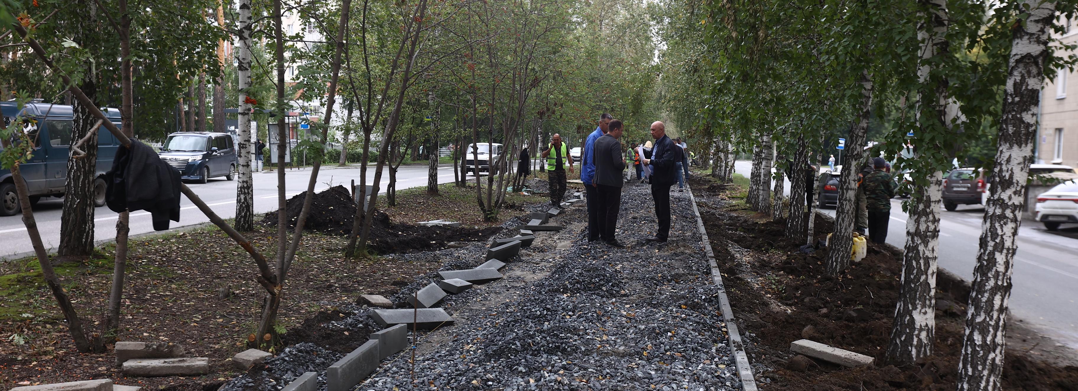 На реконструкцию газонов в Новосибирске потратят 135 миллионов