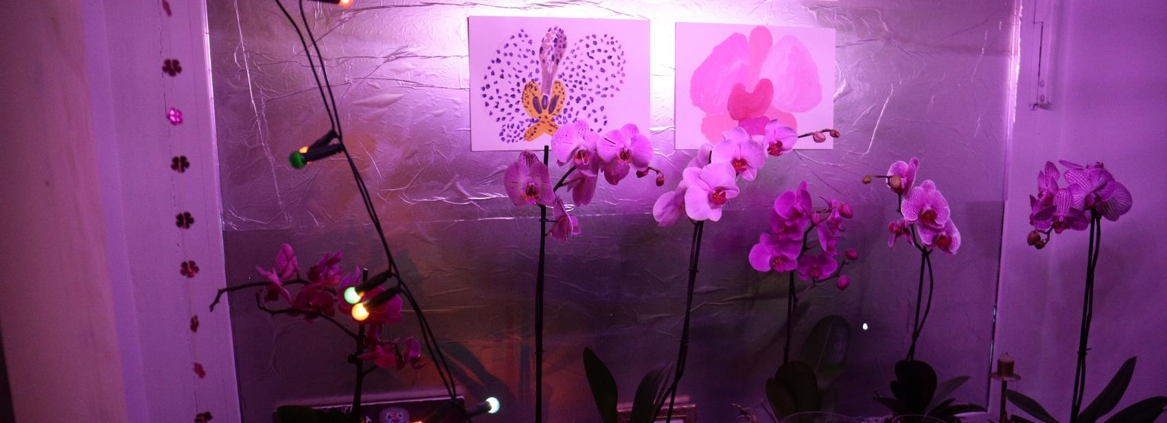 Площадки фестиваля «48 часов Новосибирск» в 2ГИС: карта и описание