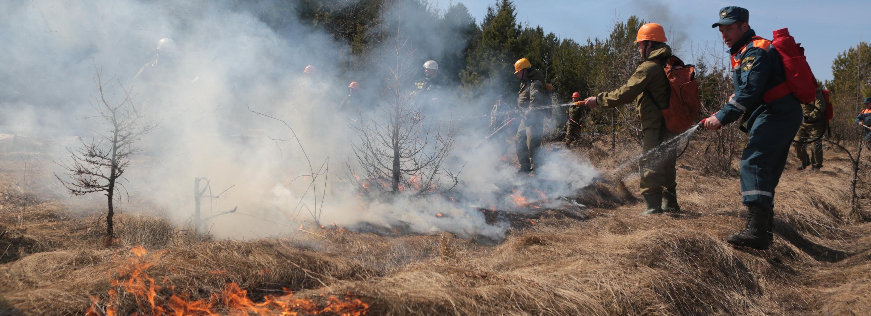 35 умных камер установили для отслеживания пожаров в новосибирских лесах