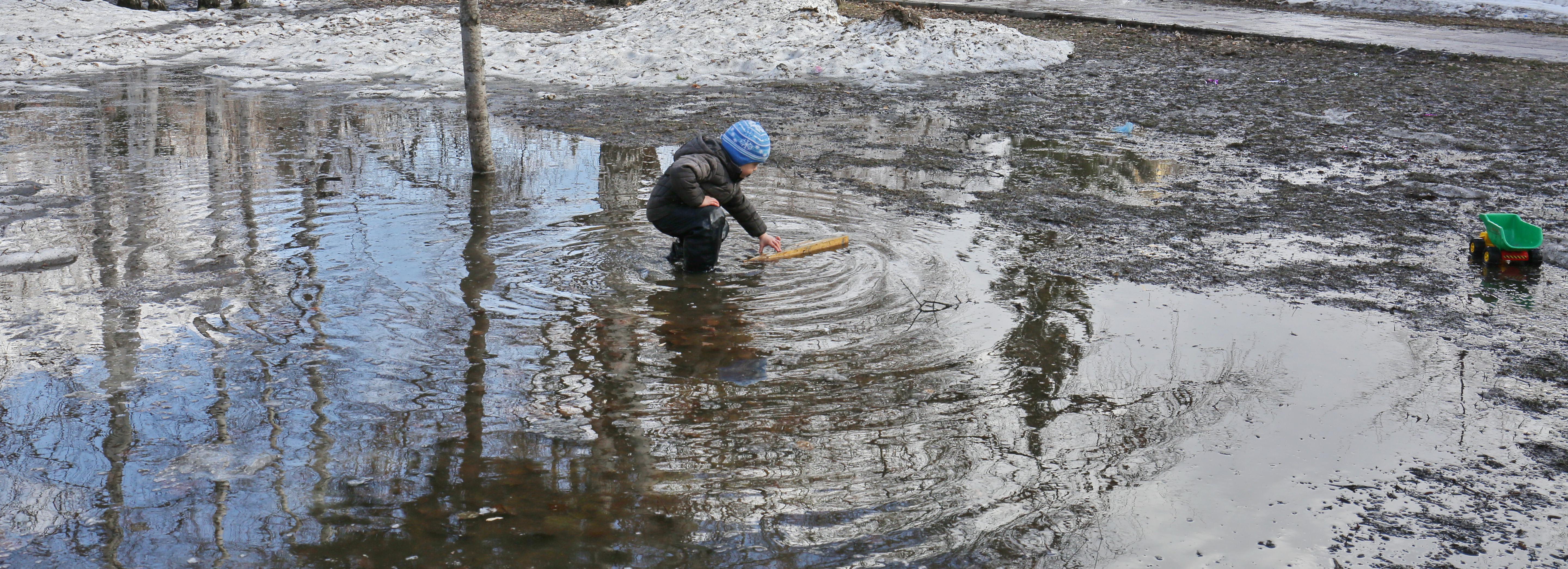 Весне дорогу: до +9 потеплеет в Новосибирске на следующей неделе