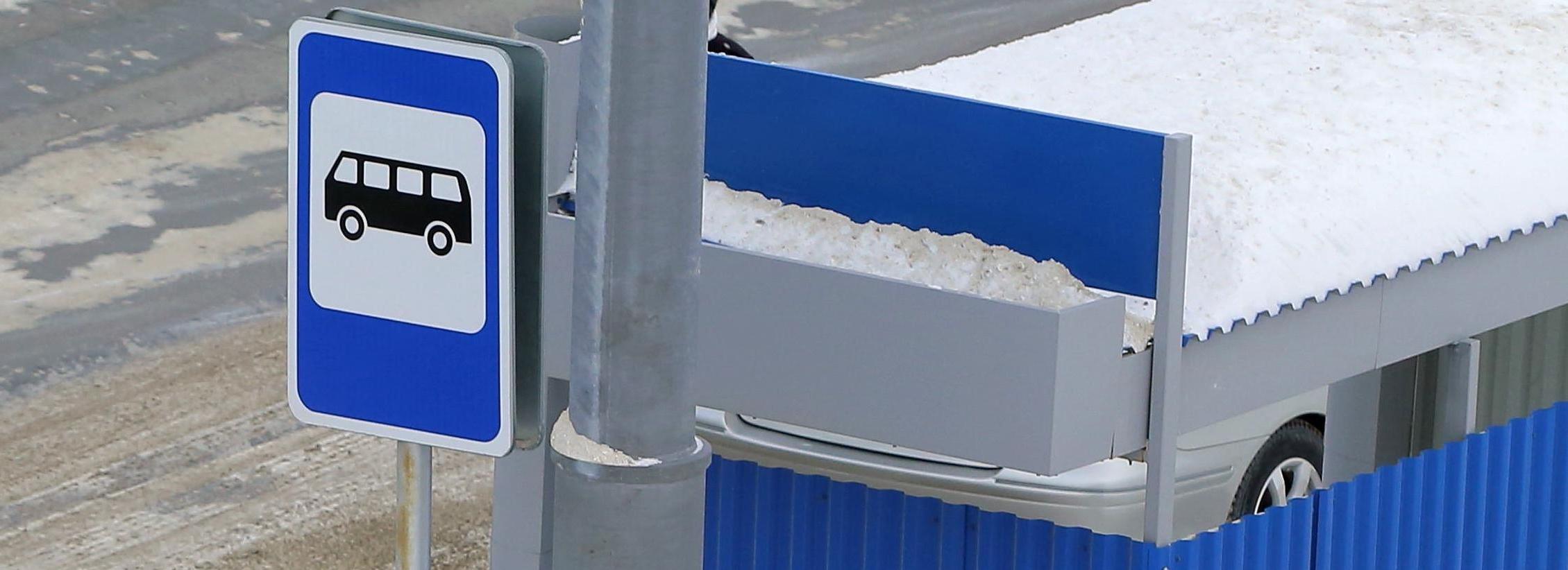 Из-за метели в Новосибирской области не попали в школу 45 детей