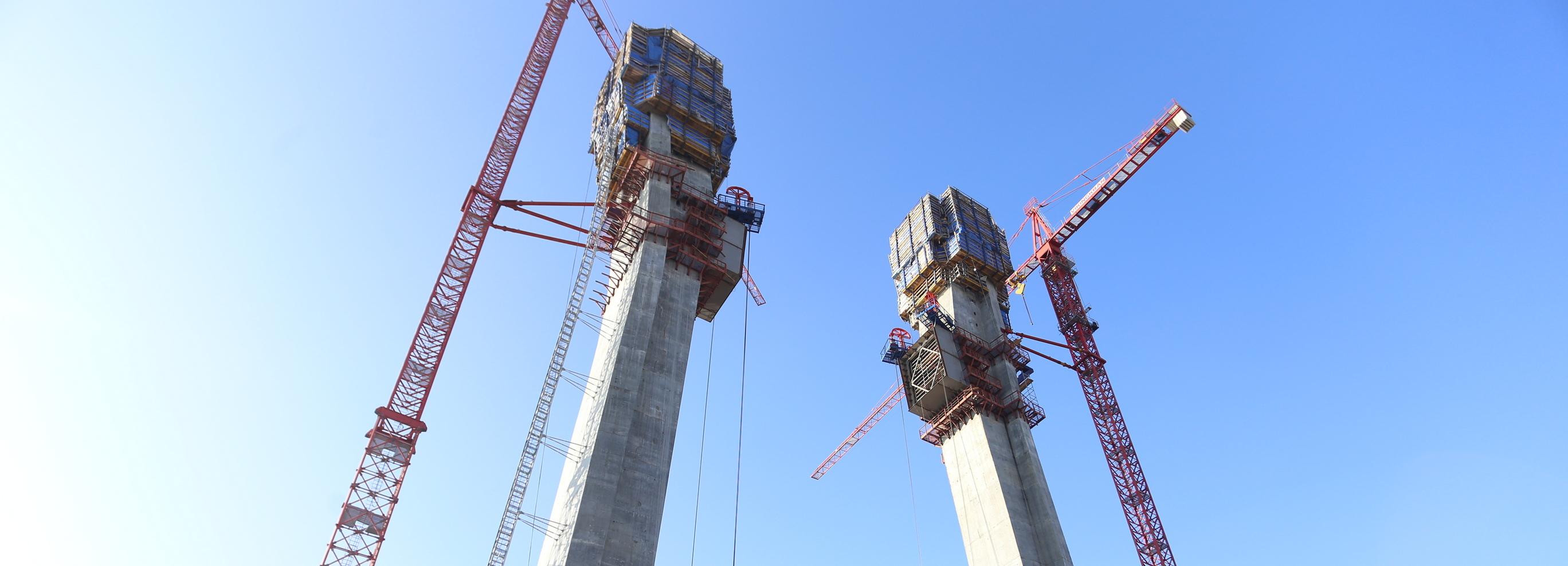 Если вы пропустили: мост цвета капучино, няня-экстремал и птицы-носороги