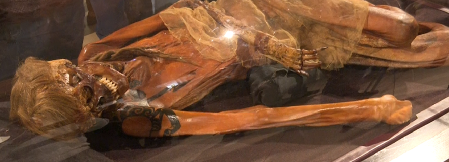 Мумию мальчика-воина с татуировкой выставили напоказ в Новосибирске