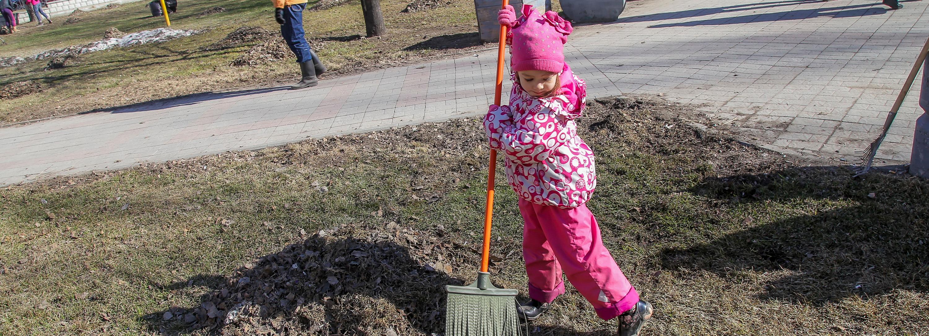 Нужен ли Новосибирску субботник — онлайн-опрос