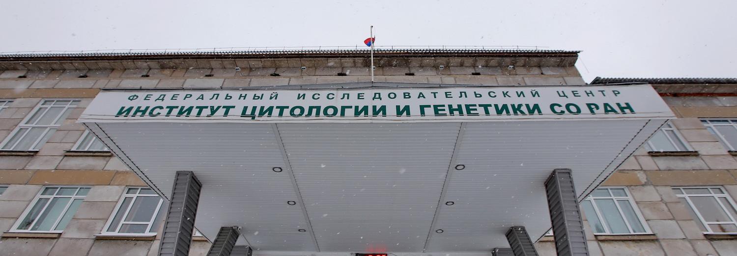 Средство для борьбы с раком мозга разработали в Новосибирске