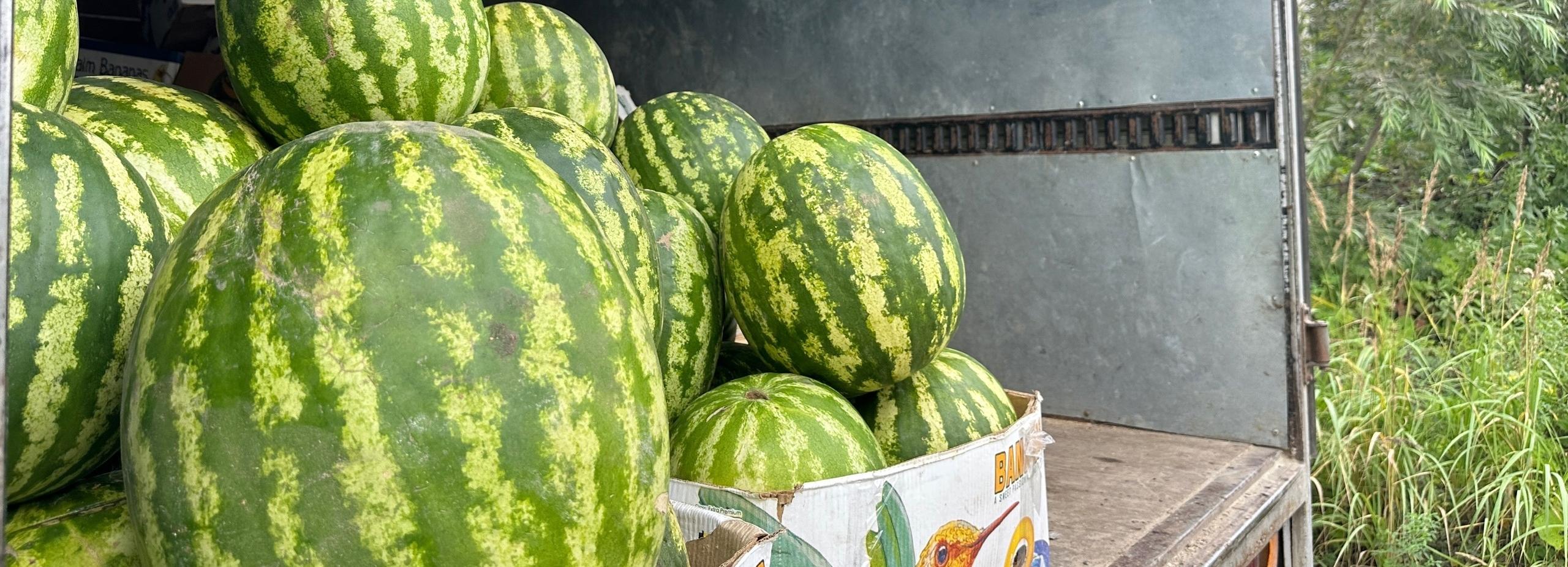 Нелегальную продажу арбузов и дынь остановили в Дзержинке