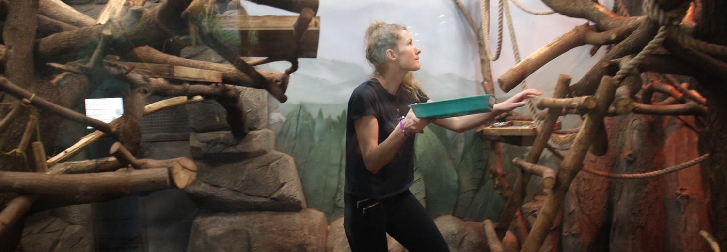 Меню для обезьян: как готовят еду животным в зоопарке