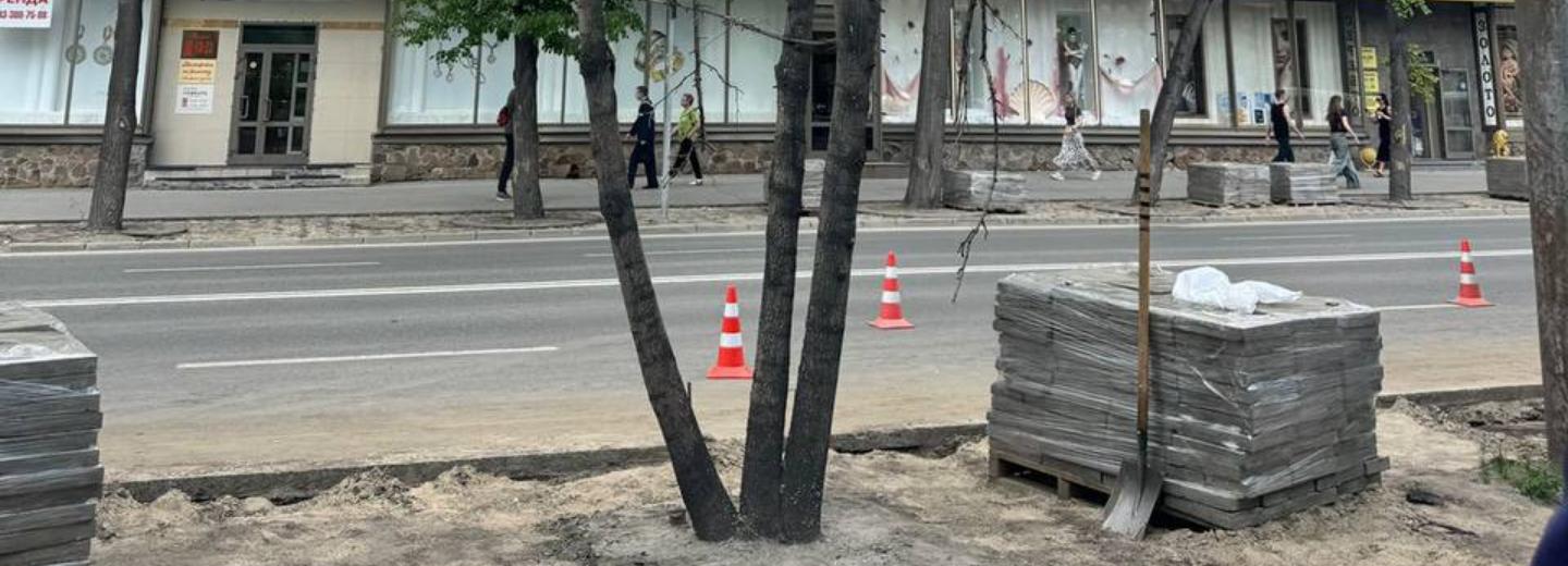 30 молодых лип высадят взамен погибших вдоль Театрального сквера