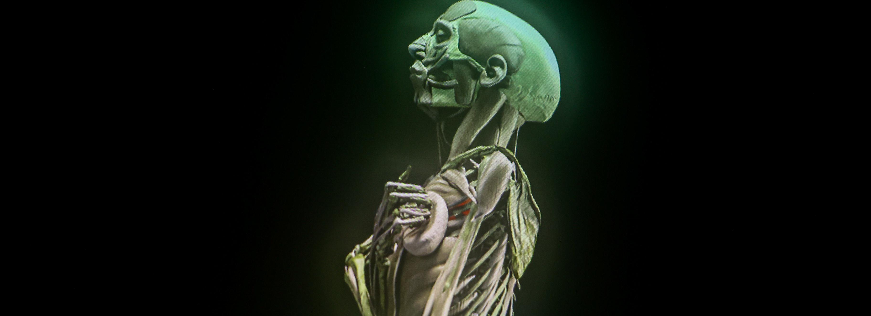 Египетские мумии «оживили» на выставке в художественном музее