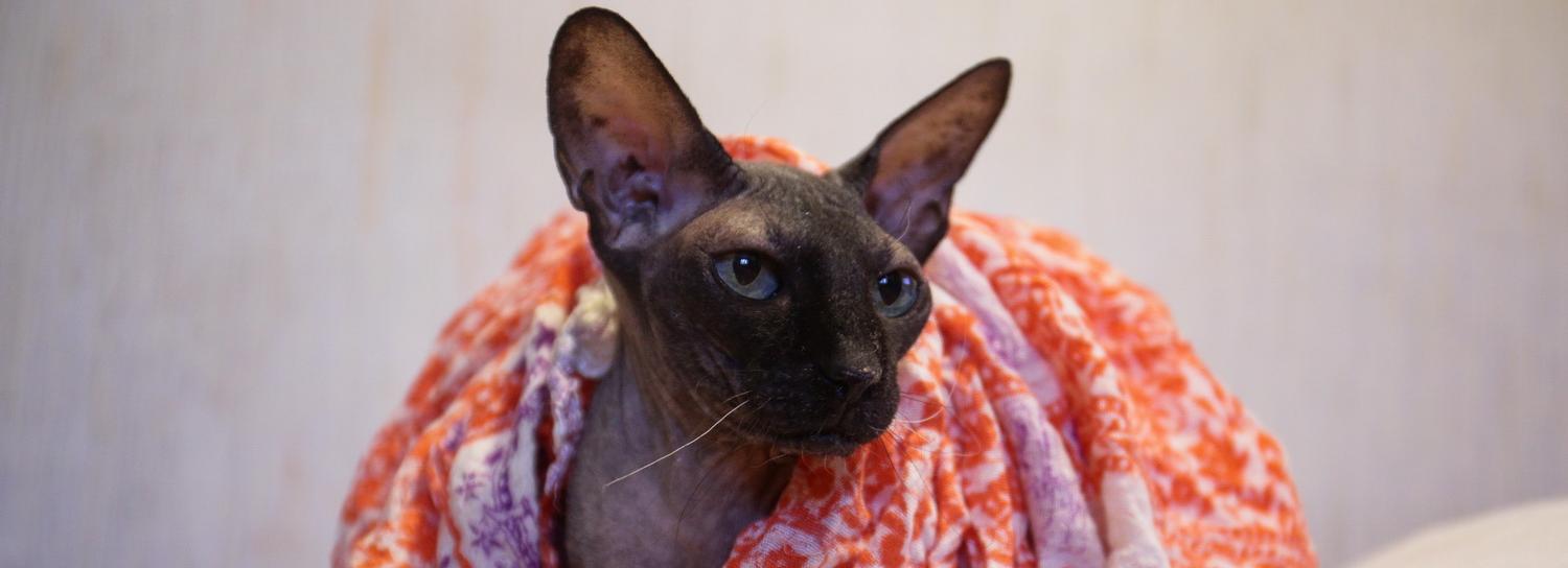 Не замерзать же: что делать, если не дали отопление в Новосибирске