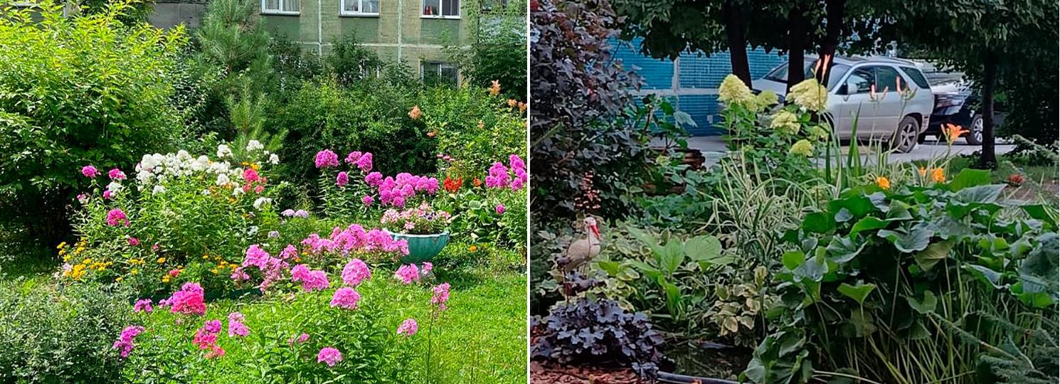 Стали известны финалисты конкурса «Лучшая клумба Новосибирска»