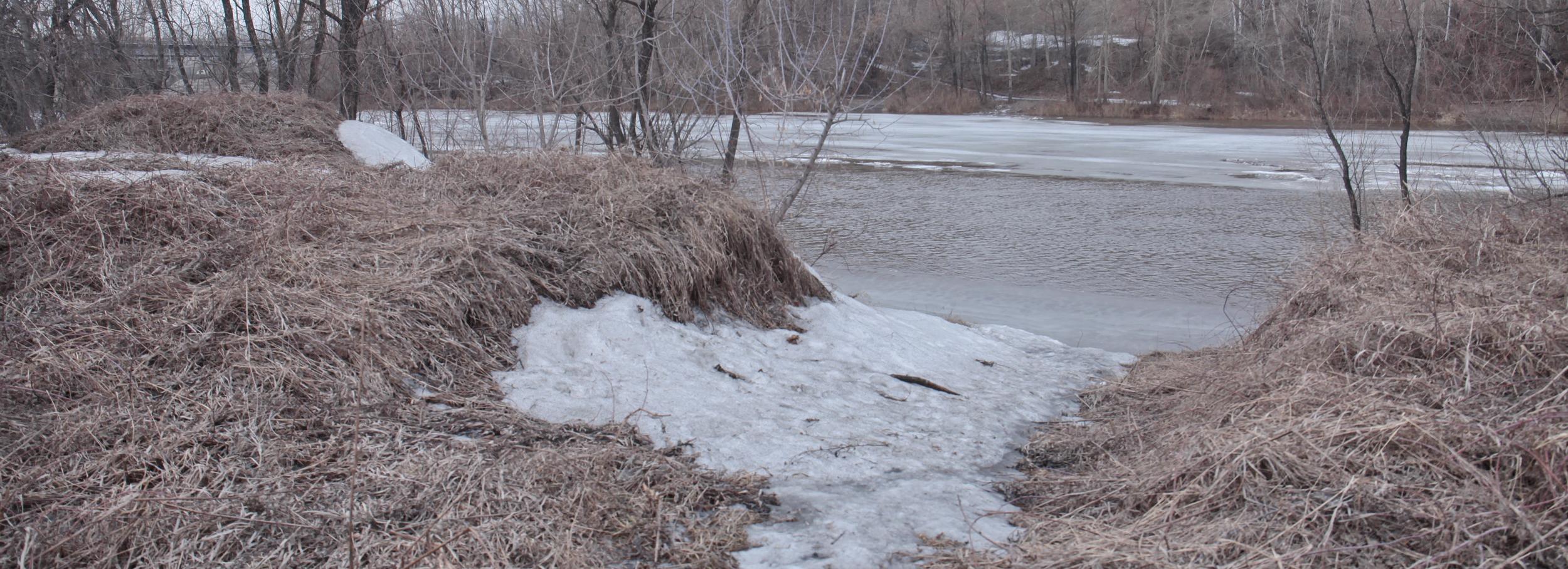 Проголосовать за название парка у Ини зовут новосибирцев