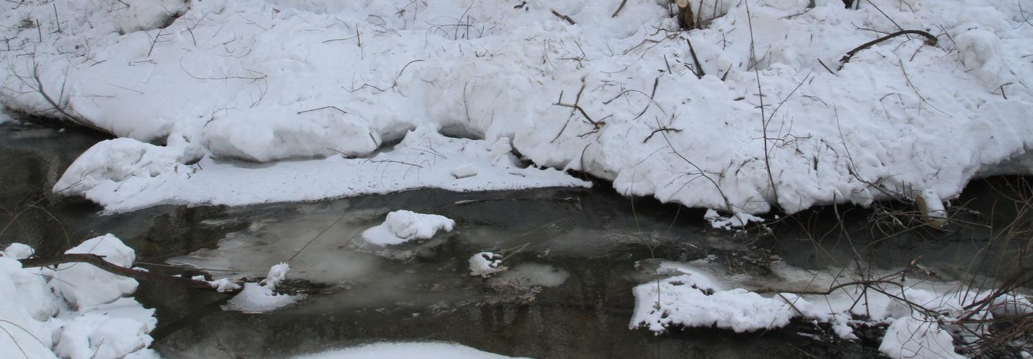 Синоптики дали прогноз на паводок-2020 в Новосибирске