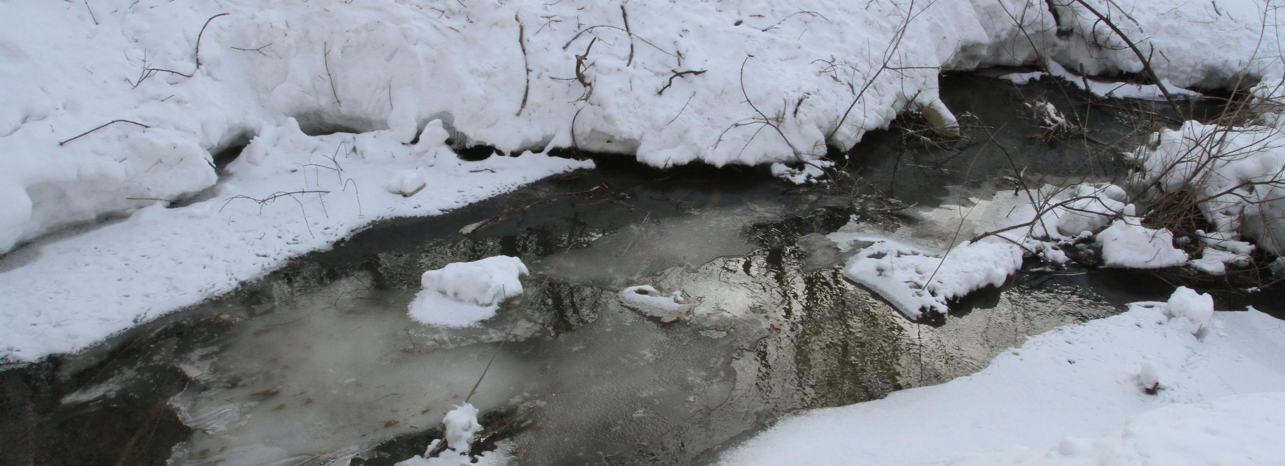 Названы три моста под Новосибирском с высоким риском подтопления