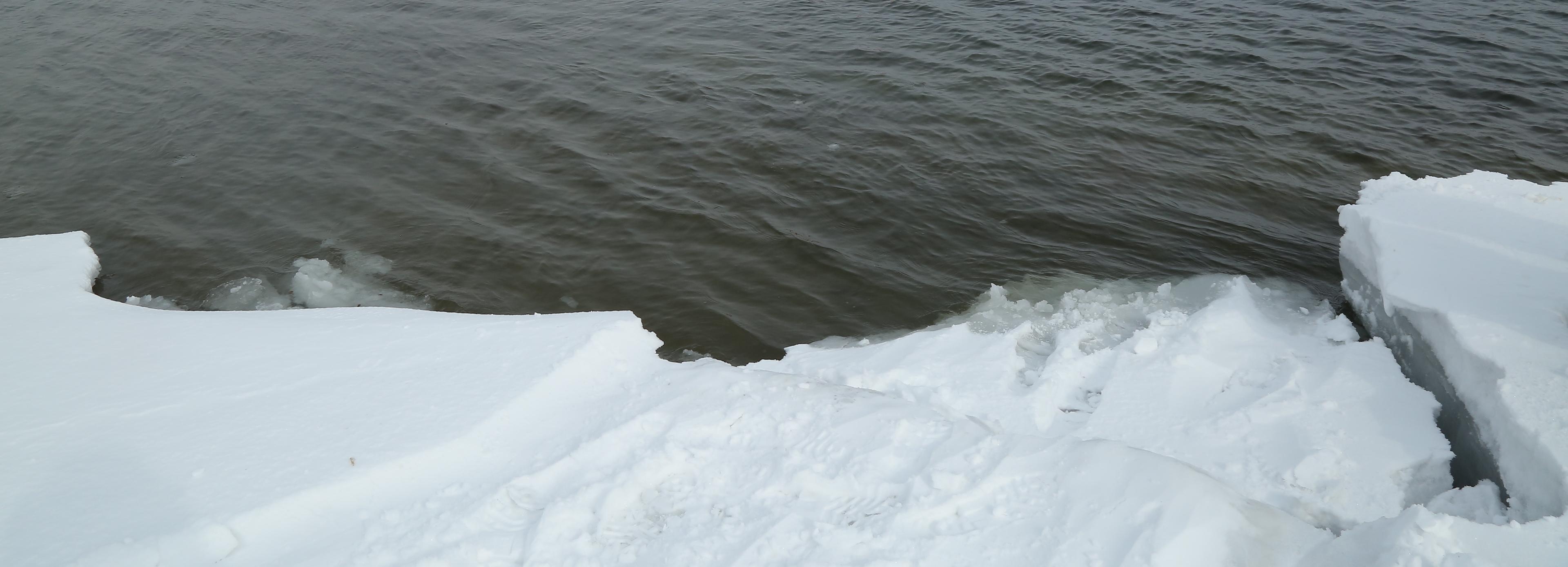 Спасатели сняли пятерых детей со льдины на Северо-Чемском