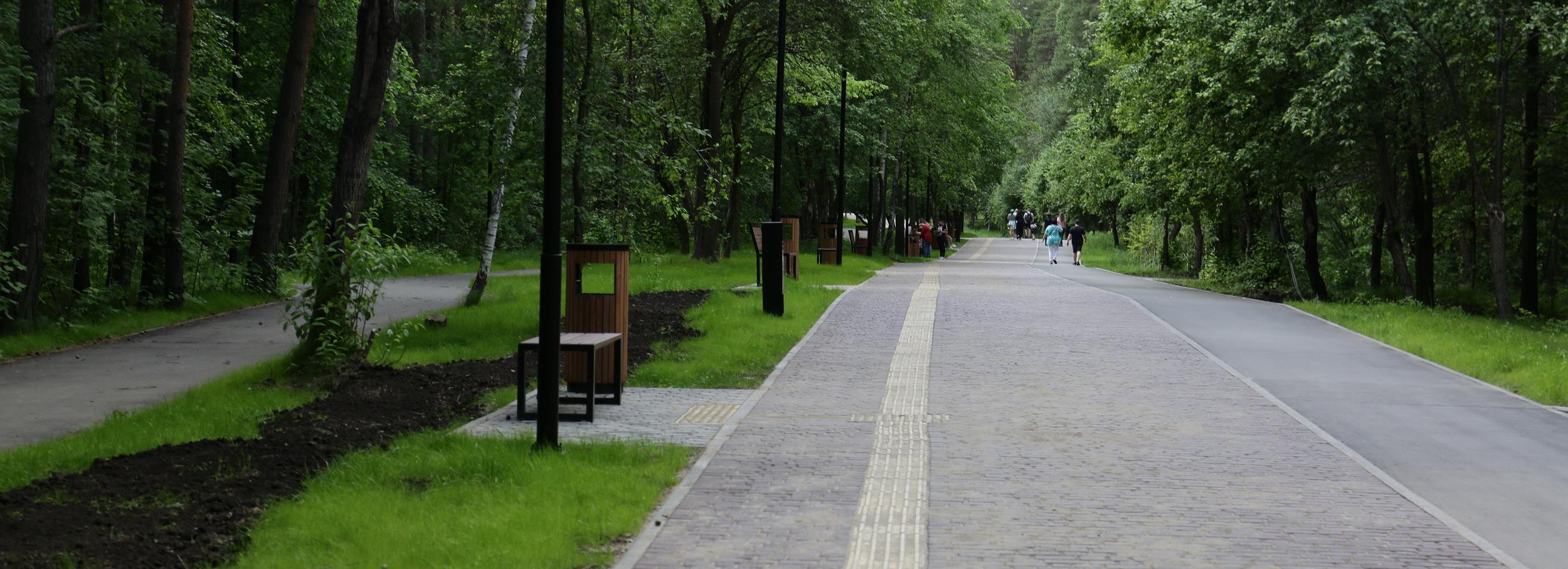 Паблик-ток о тактическом урбанизме проведут в Заельцовском парке