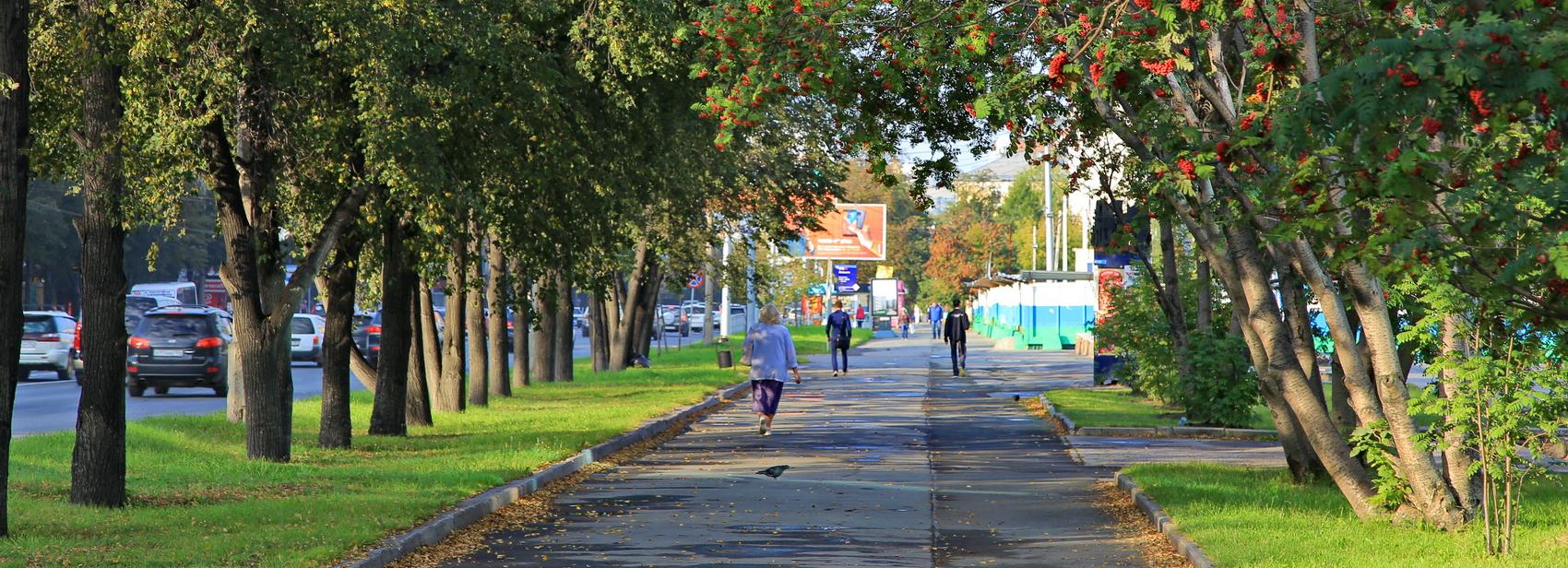 Идеальная погода ожидает новосибирцев на выходных