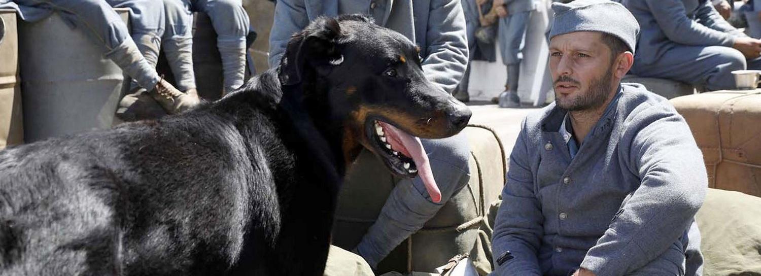 Афиша Новосибирска: куда сходить в среду, 28 октября