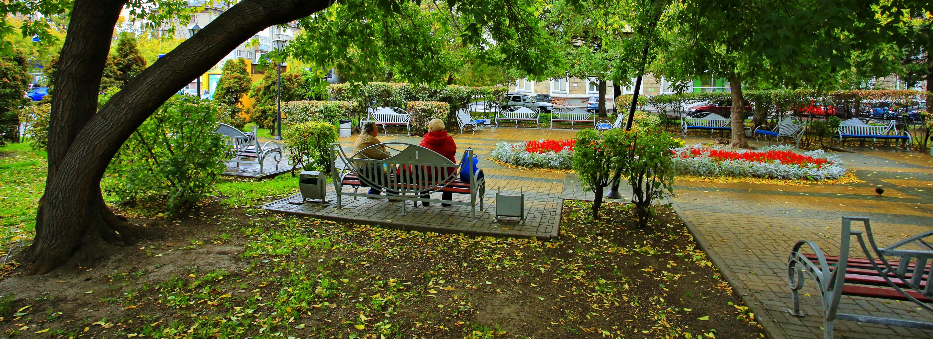 Для зелёных зон Новосибирска составили список правильных растений