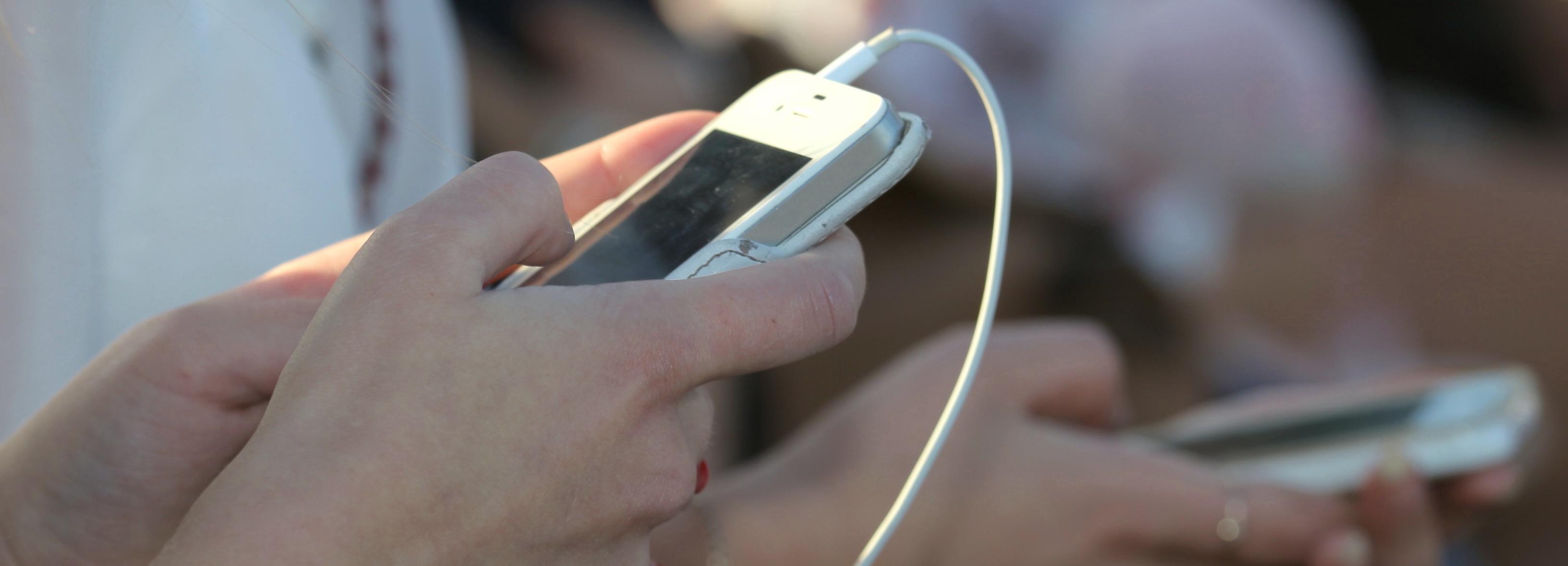 Приложение «Рябина» для инспекций мусорных площадок тестируют новосибирцы