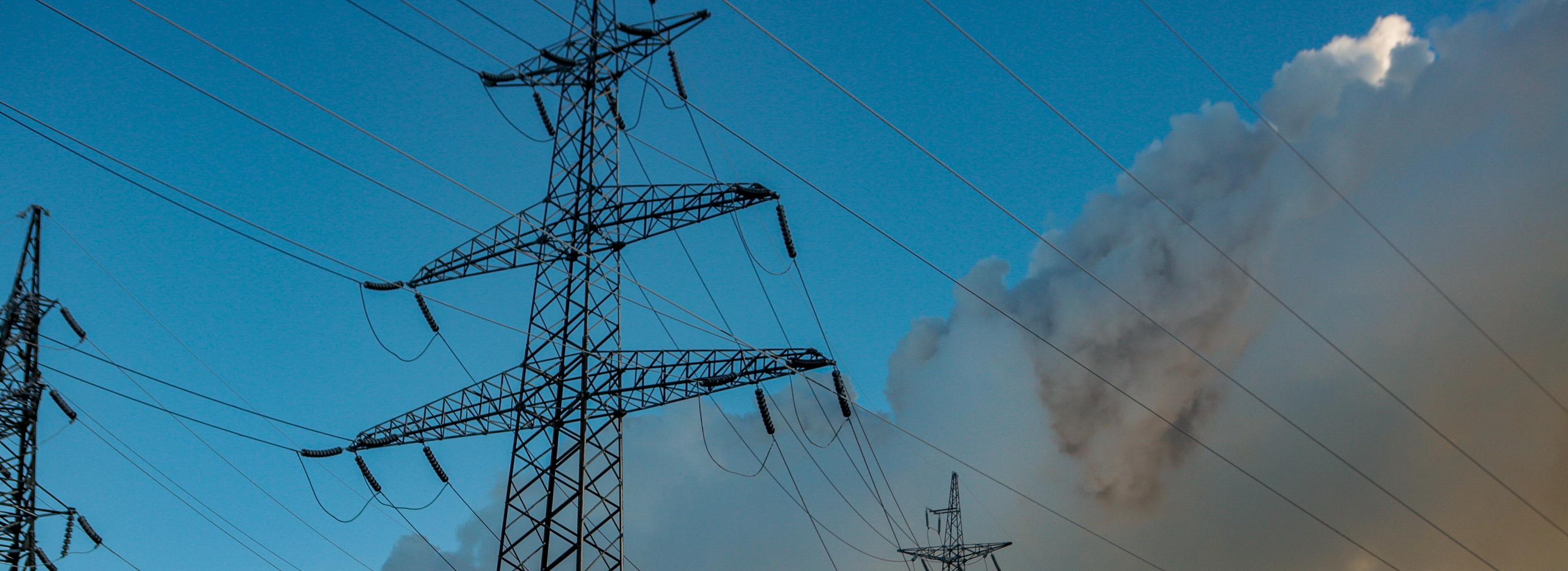 8 километров ЛЭП протянут к реабилитационному центру у Бердского залива