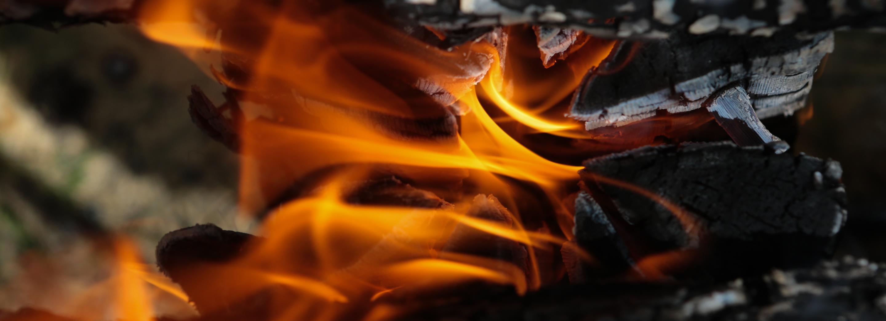 В Новосибирске чуть не сгорели садовые общества «Виктория» и «Заря-3»