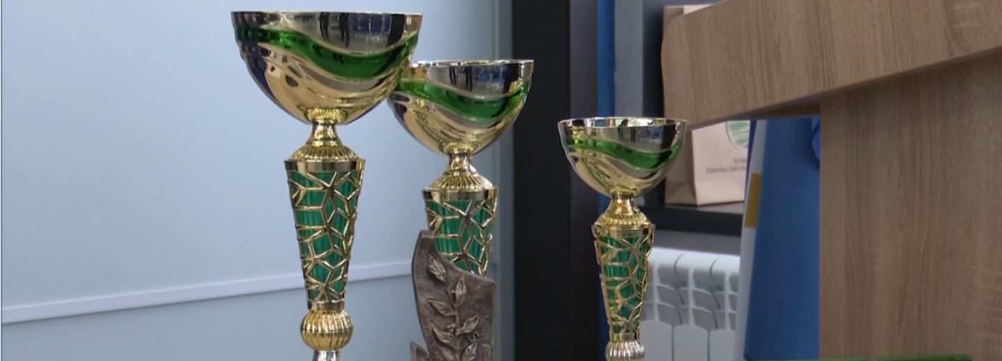 Межвузовский экокубок проходит в НГУЭУ: лучший проект воплотят в городе