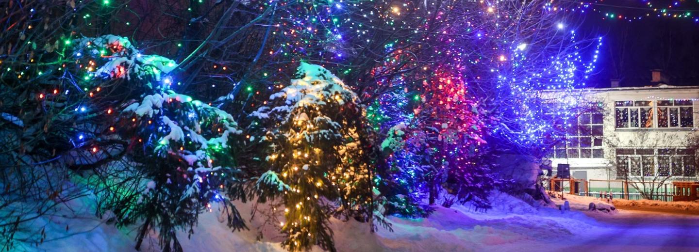 Самая новогодняя улица Новосибирска: здесь светятся даже теплицы