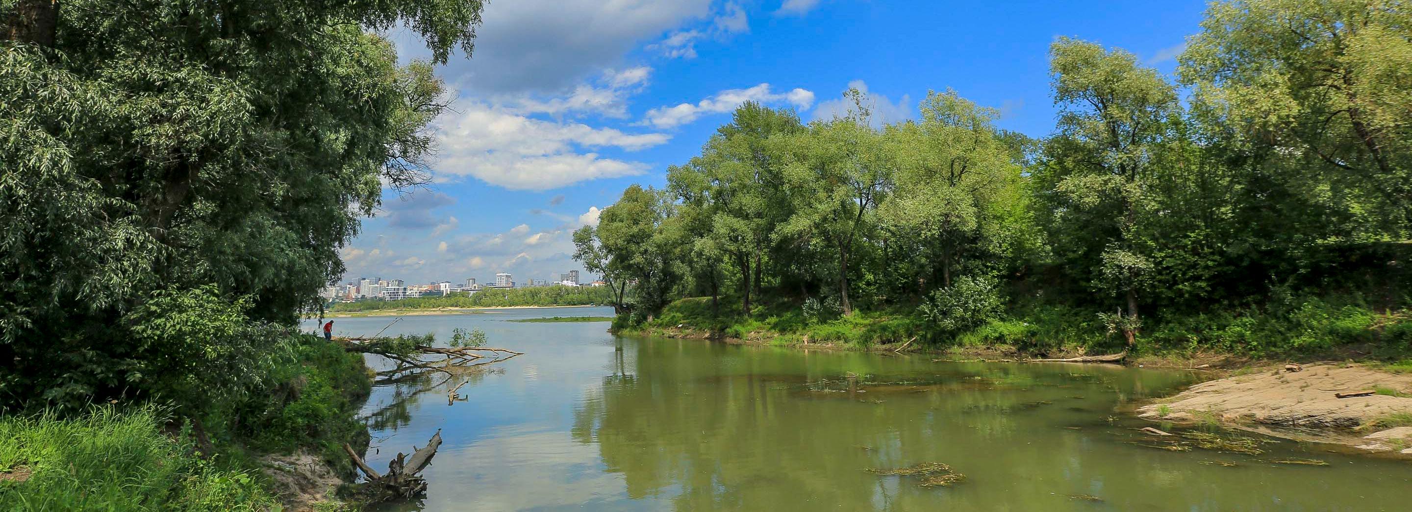 Новосибирцам представят концепцию нового парка «Усть-Тула»