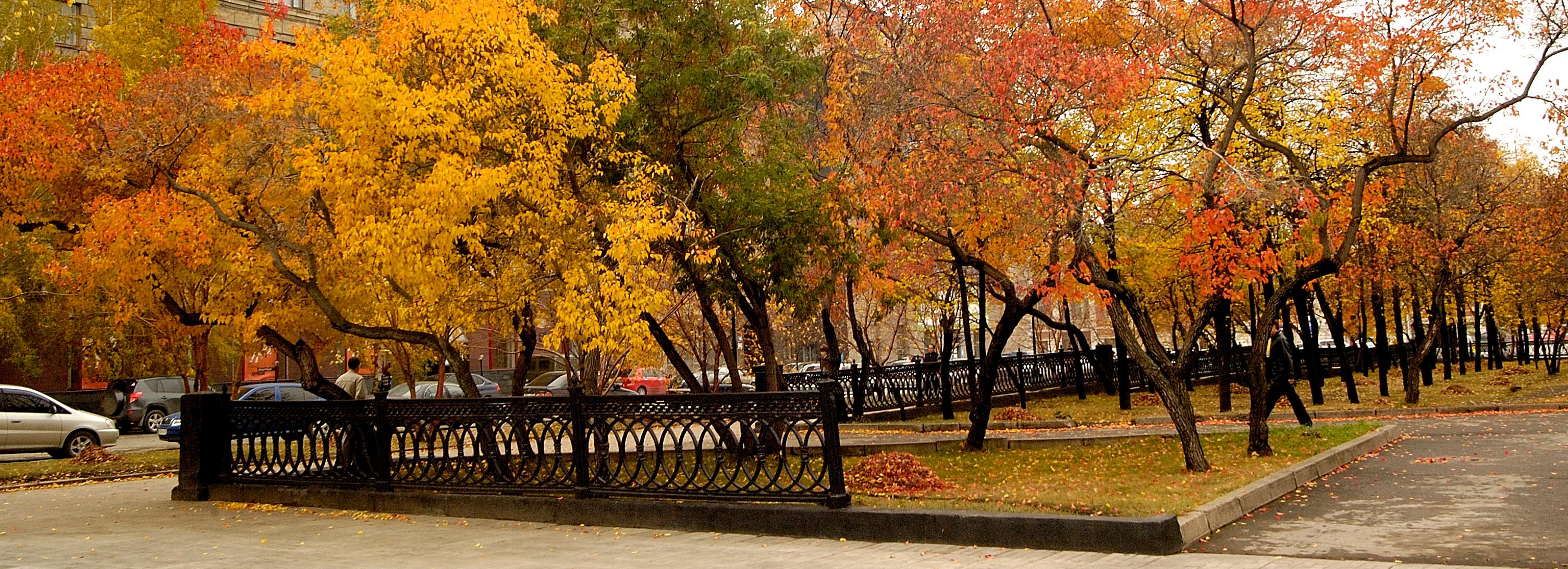 Тёплый октябрь со снегопадами прогнозируют новосибирцам синоптики