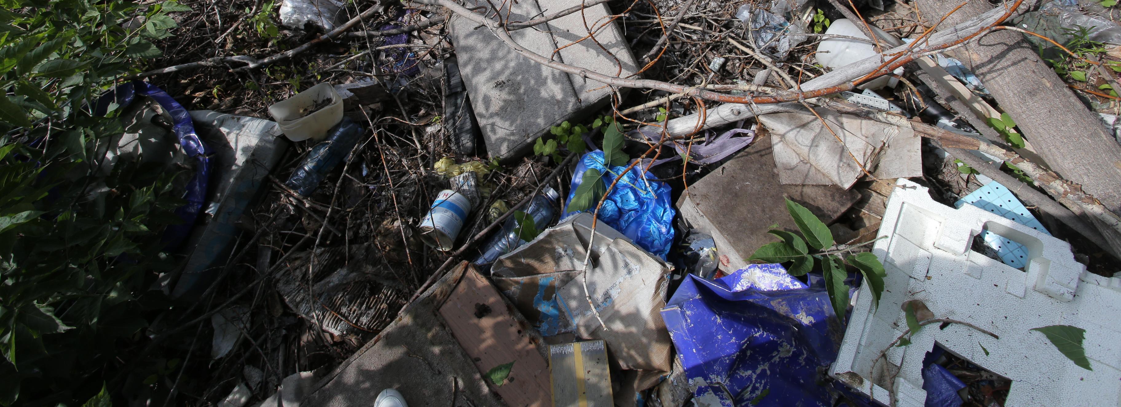 15 незаконных мусорных свалок обнаружили в Новосибирской области