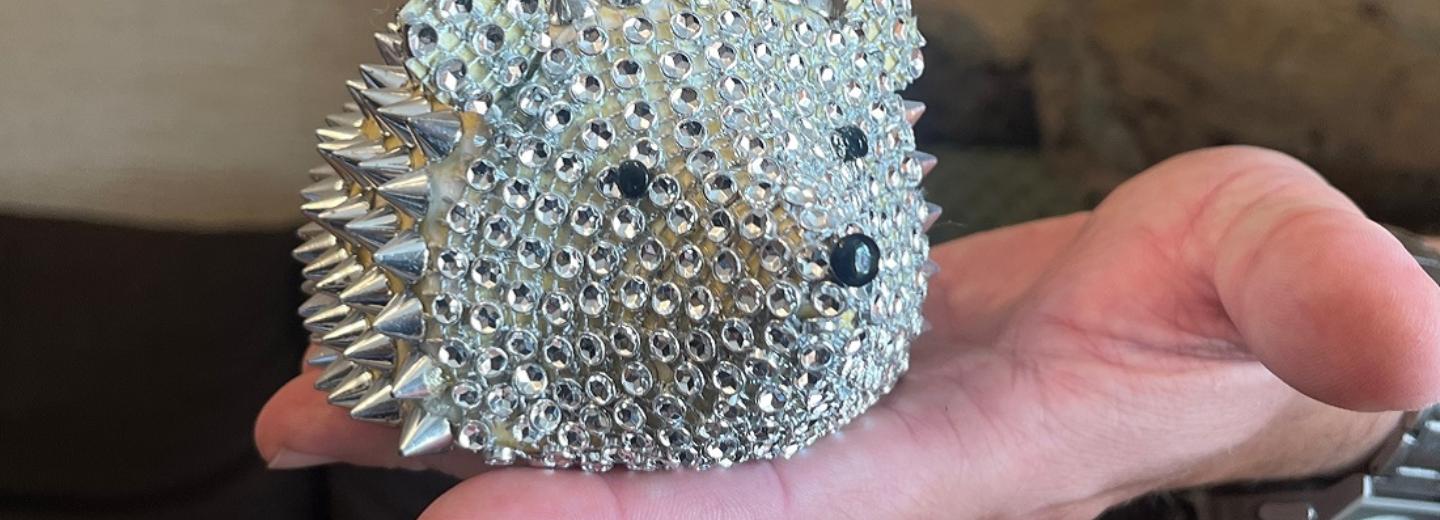 Новосибирец собирает ежей: они парятся в бане и подпирают двери